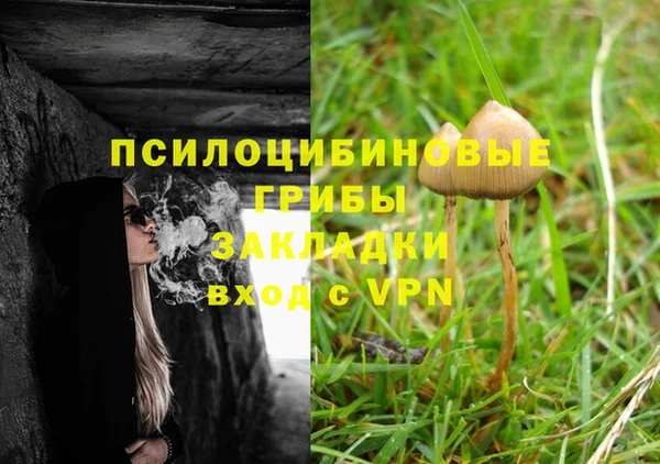 Альфа ПВП Абдулино