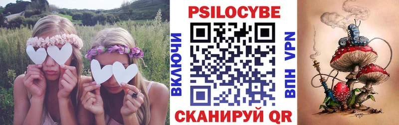 KRAKEN tor  Плавск  Галлюциногенные грибы Psilocybe 